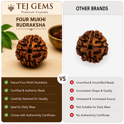 Four Mukhi Rudraksha - Image 4