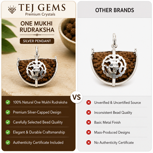 One Mukhi Rudraksha - Image 2