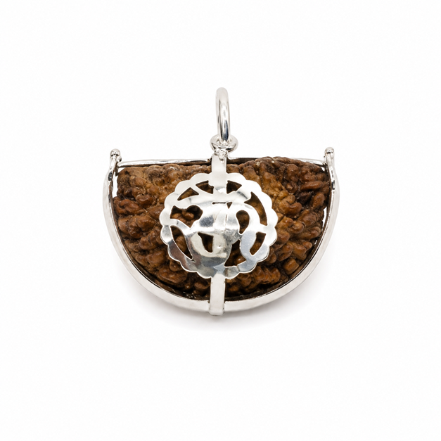 One Mukhi Rudraksha - Image 4
