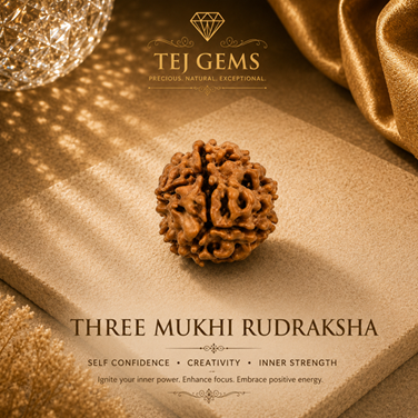 Three Mukhi Rudraksha - Image 3