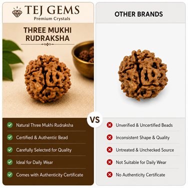 Three Mukhi Rudraksha - Image 4