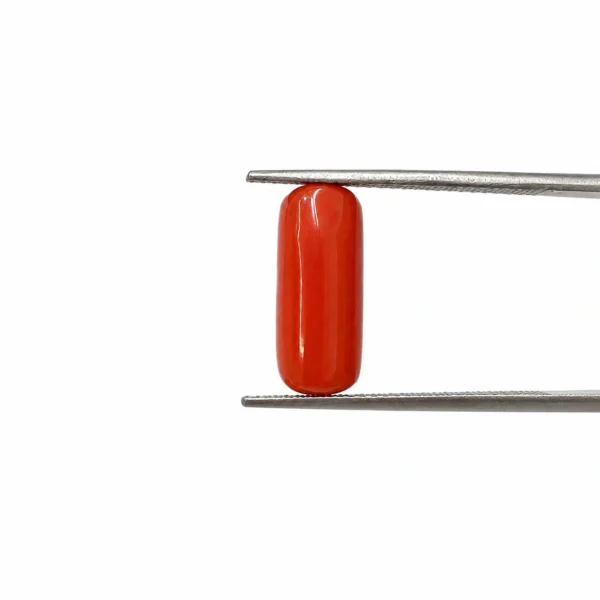CORAL GEMSTONE : WEIGHT 5.31