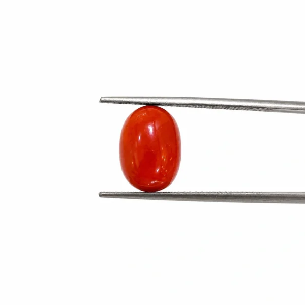 CORAL GEMSTONE, WEIGHT 5.39