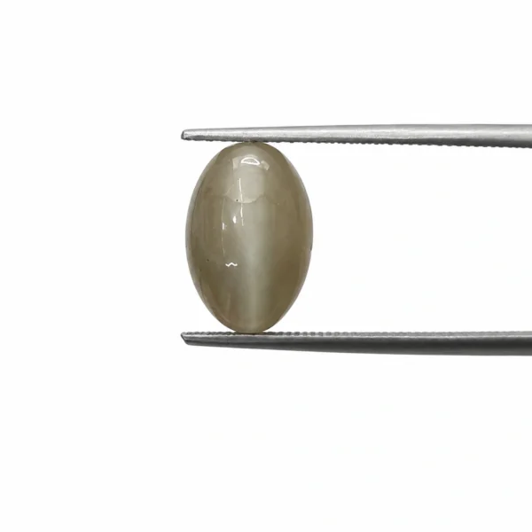 Cats Eye Gemstone, Weight 2.86 Ct